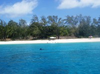 /album/ilheu-de-jaco-/a02-lospalos-jaco-75-jpg/